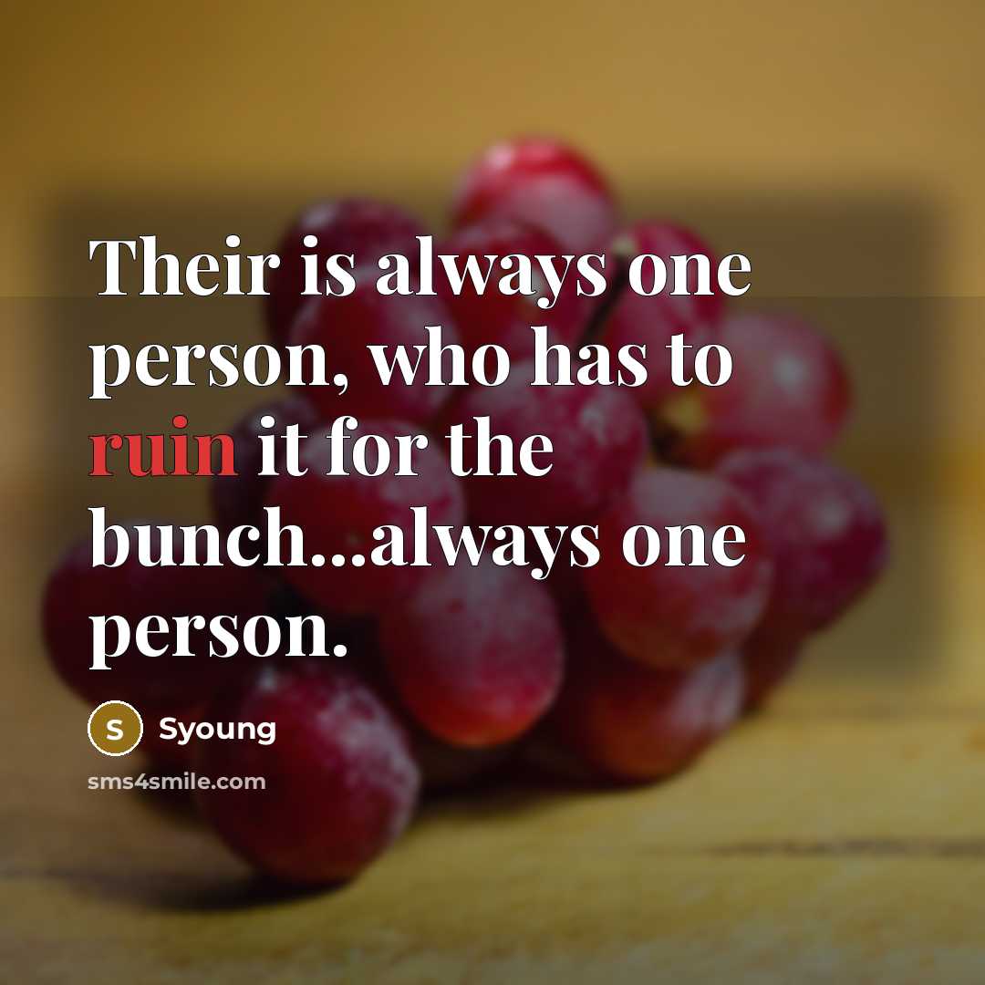 “Their is always one person, who has to ruin it…” quote by SYoung