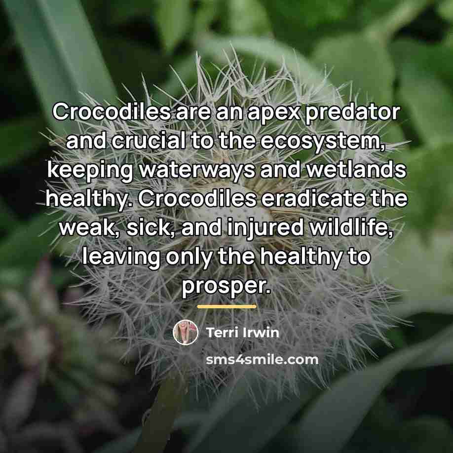 “Crocodiles are an apex predator and crucial to the ecosystem,…” quote by Terri Irwin