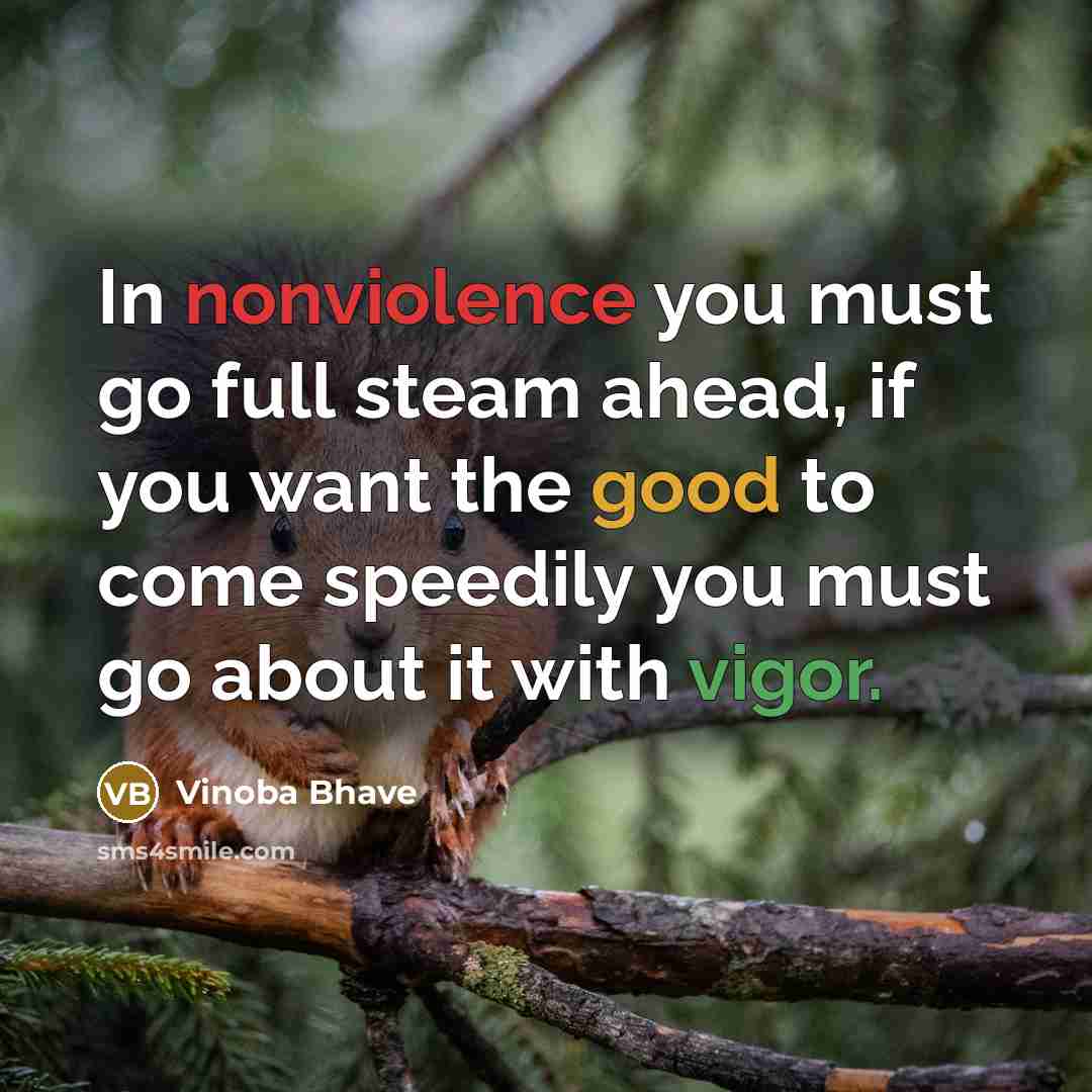 “In nonviolence you must go full steam ahead, if you want the good to come speedily you must go about it with vigor.” quote by Vinoba Bhave