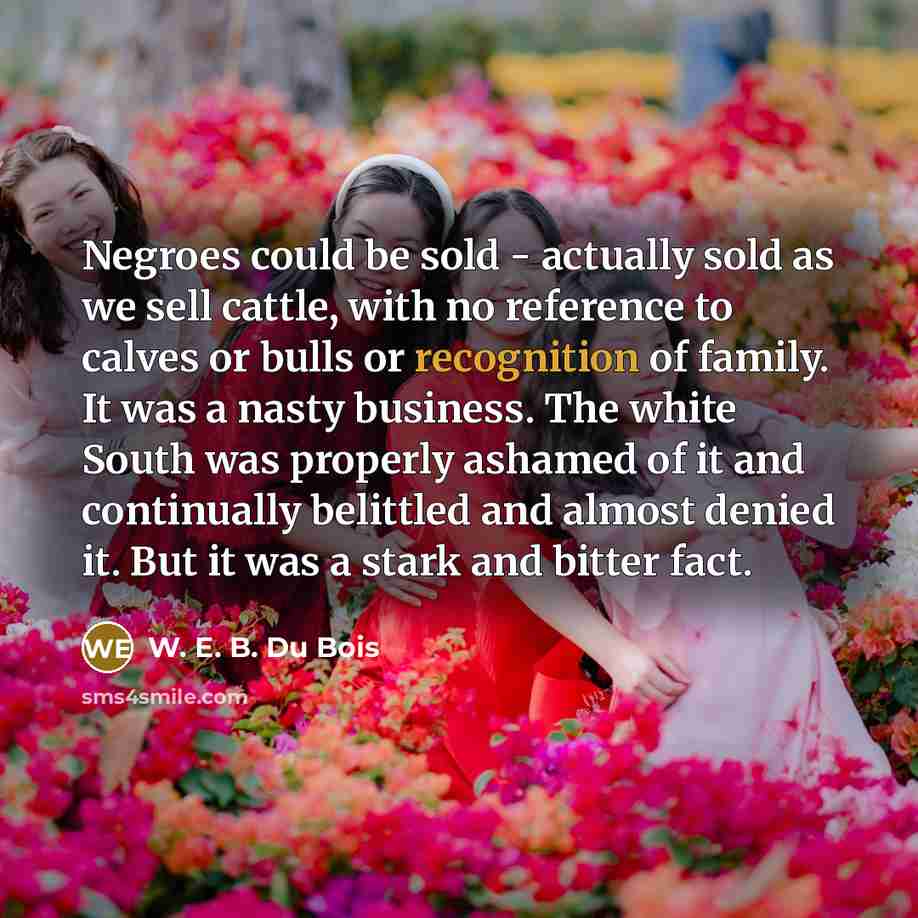 “Negroes could be sold - actually sold as we sell…” quote by W. E. B. Du Bois