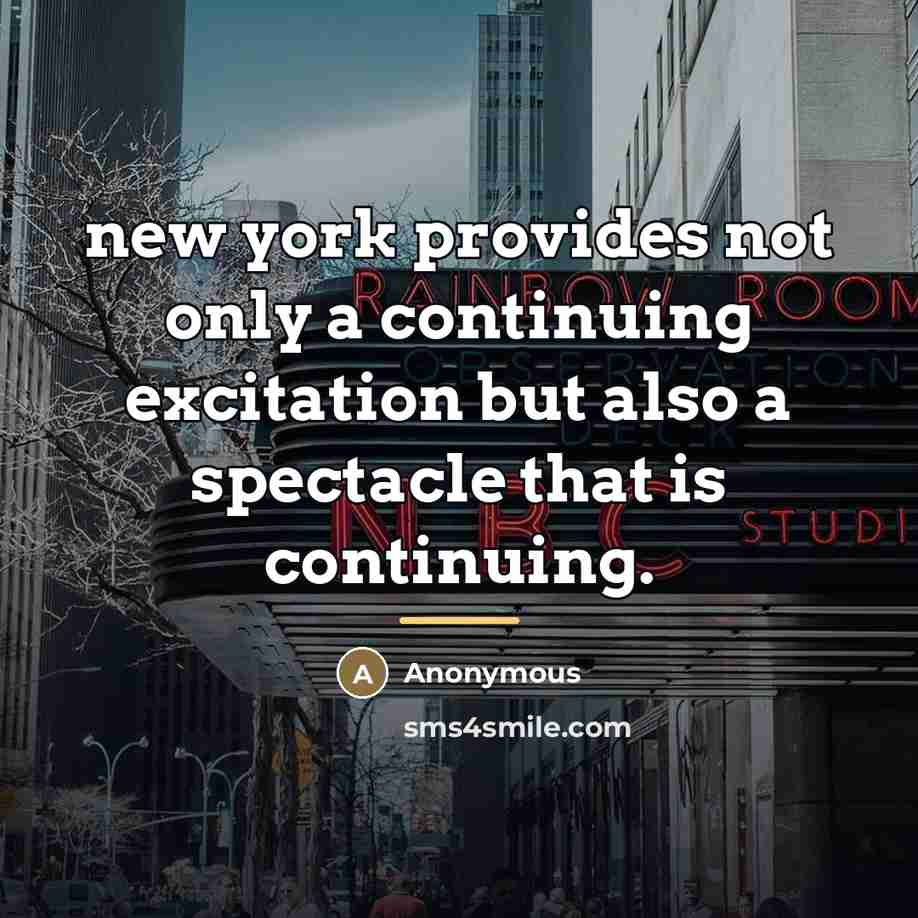 “new york provides not only a continuing excitation but also…” quote by Anonymous