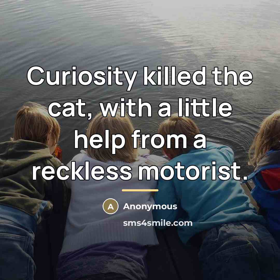 “Curiosity killed the cat, with a little help from a…” quote by Anonymous