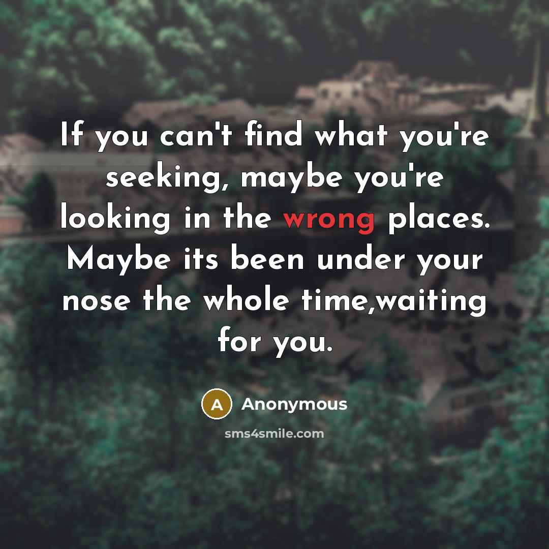 “If you can't find what you're seeking, maybe you're looking in the wrong places. Maybe its been under your nose the whole time,waiting for you.” quote by Anonymous