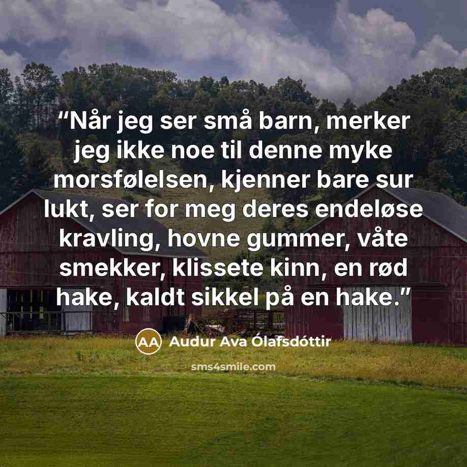 “Når jeg ser små barn, merker jeg ikke noe til denne myke morsfølelsen, kjenner bare sur lukt, ser for meg deres endeløse kravling, hovne gummer, våte smekker, klissete kinn, en rød hake, kaldt sikkel på en hake.” quote by Audur Ava Olafsdottir