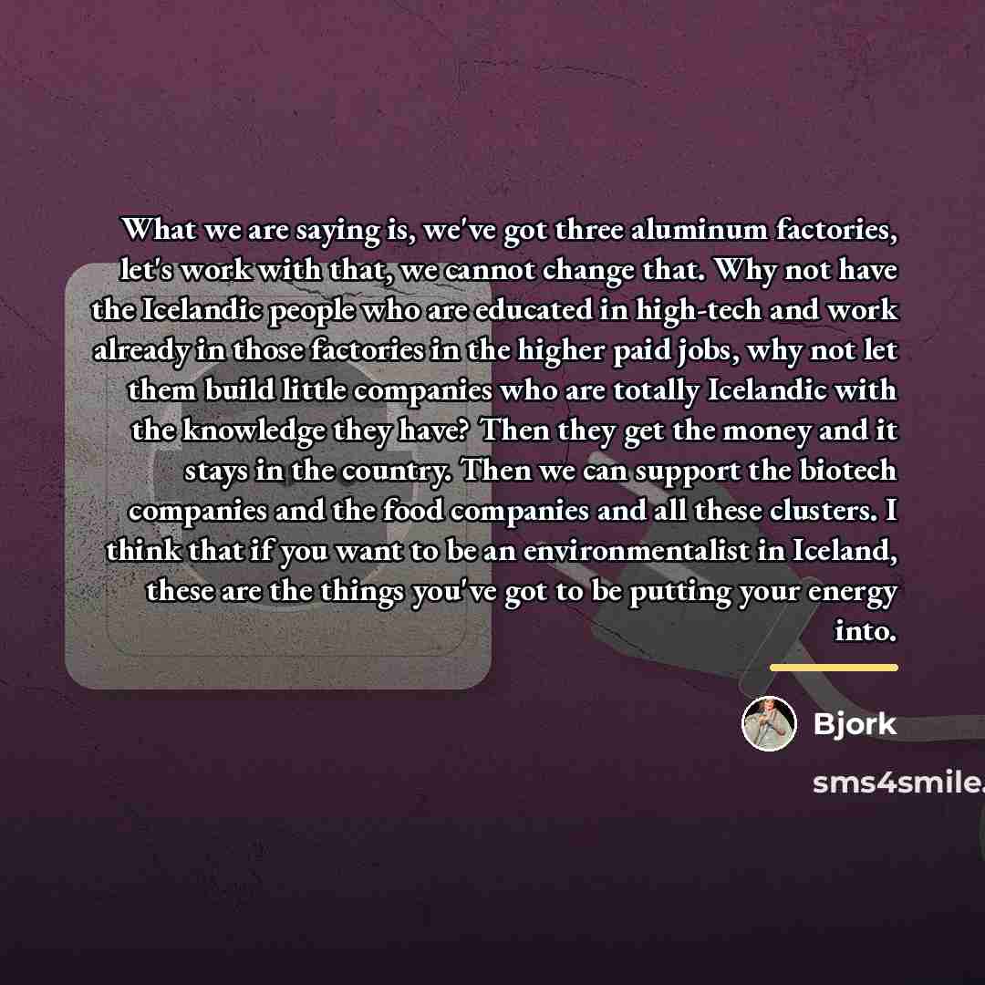 “What we are saying is, we've got three aluminum factories,…” quote by Bjork