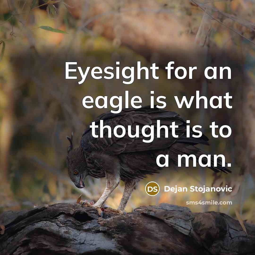 “Eyesight for an eagle is what thought is to a…” quote by Dejan Stojanovic