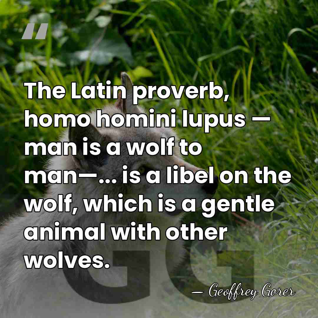 The Latin proverb, homo homini lupus — man is a wolf to&hellip; - Geoffrey Gorer
