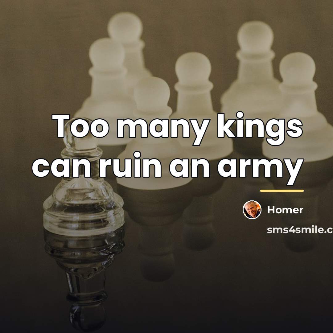 “Too many kings can ruin an army…” quote by Homer