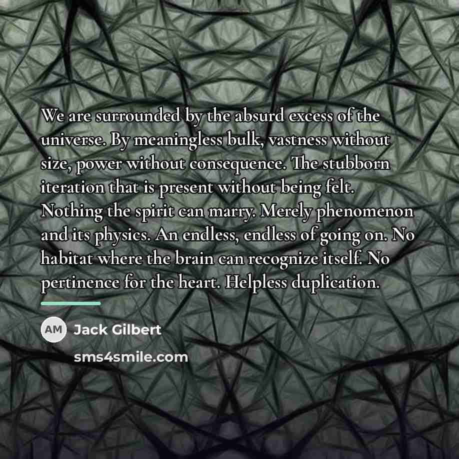 “We are surrounded by the absurd excess of the universe.…” quote by Jack Gilbert
