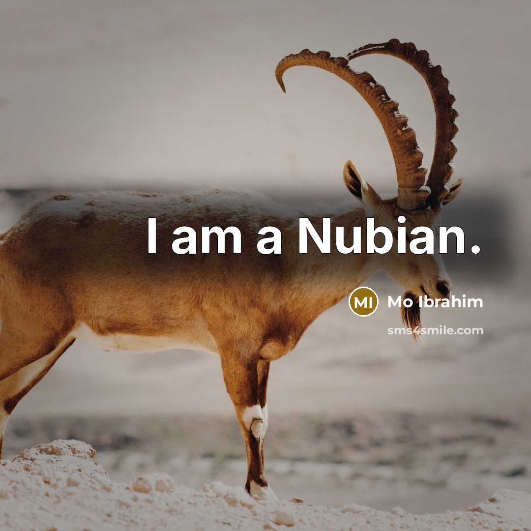 “I am a Nubian.…” quote by Mo Ibrahim