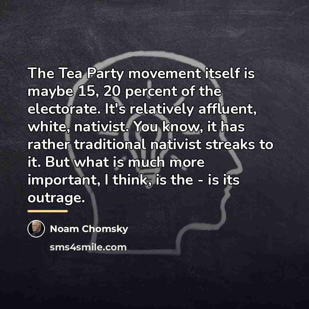 “The Tea Party movement itself is maybe 15, 20 percent…” quote by Noam Chomsky
