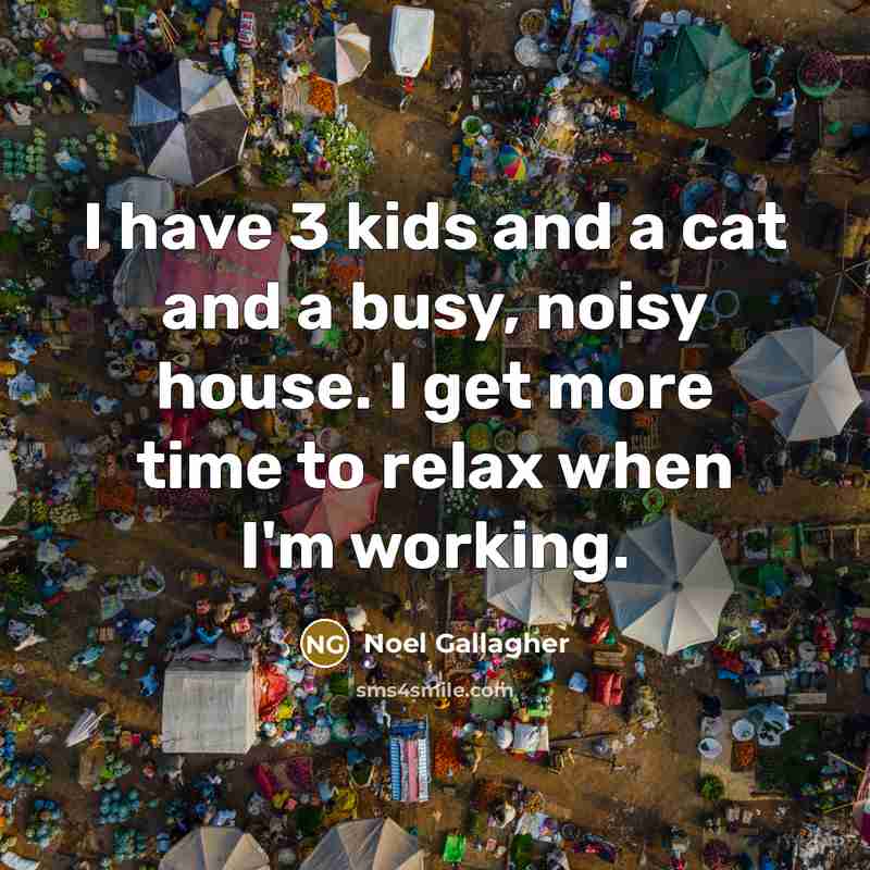 “I have 3 kids and a cat and a busy,…” quote by Noel Gallagher