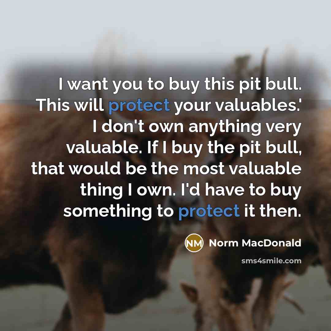 “I want you to buy this pit bull. This will…” quote by Norm MacDonald