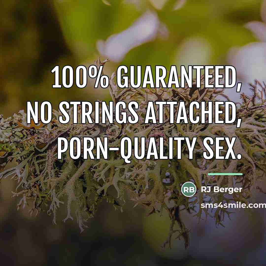 “100% guaranteed, no strings attached, porn-quality sex.…” quote by RJ Berger