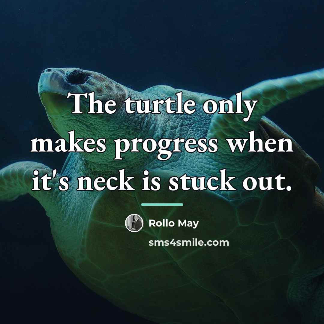 “The turtle only makes progress when it's neck is stuck…” quote by Rollo May