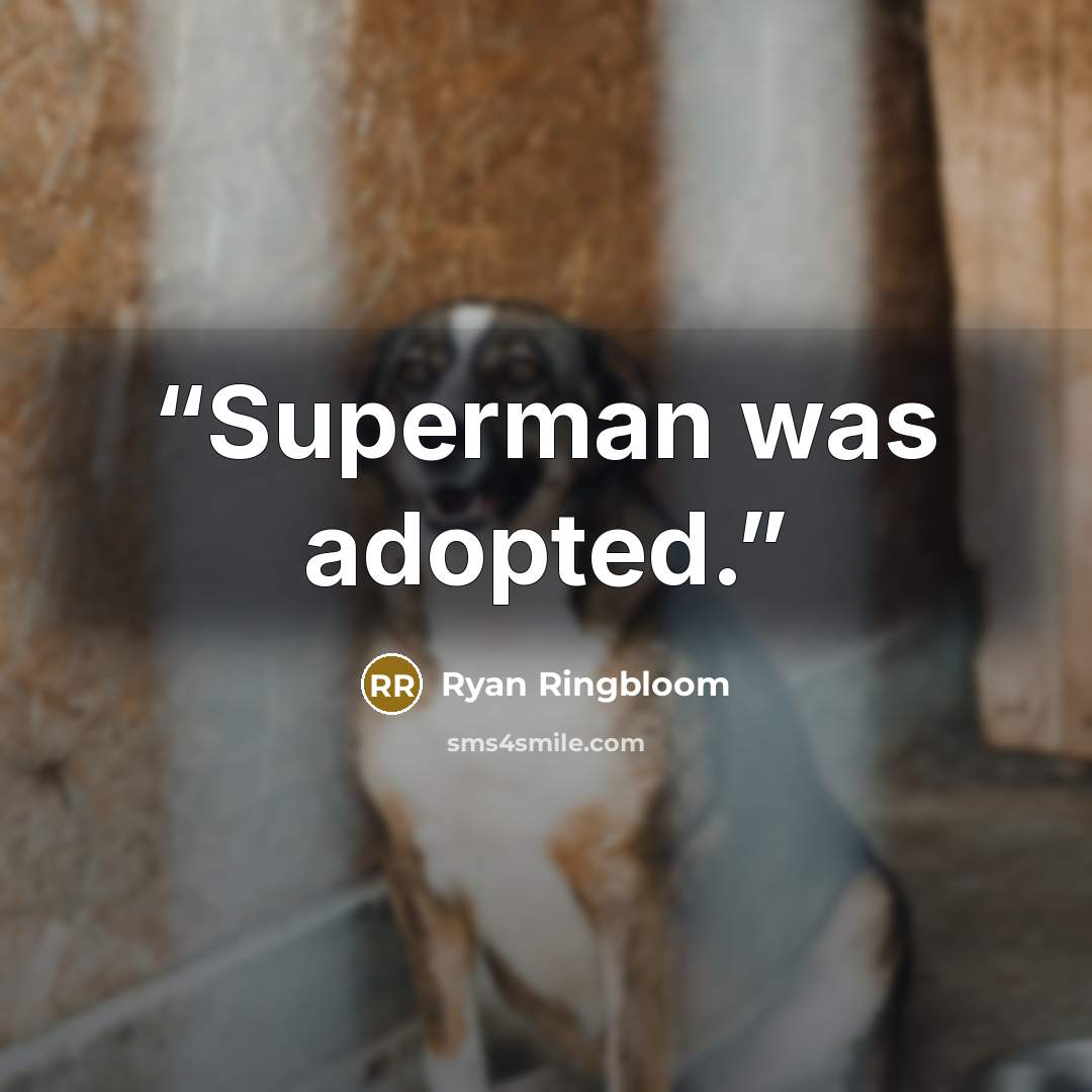“Superman was adopted.” quote by Ryan Ringbloom