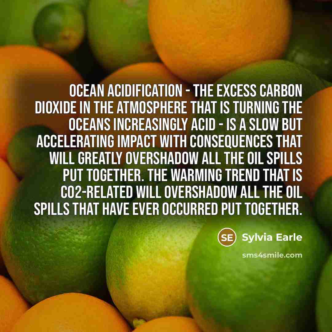 “Ocean acidification - the excess carbon dioxide in the atmosphere…” quote by Sylvia Earle