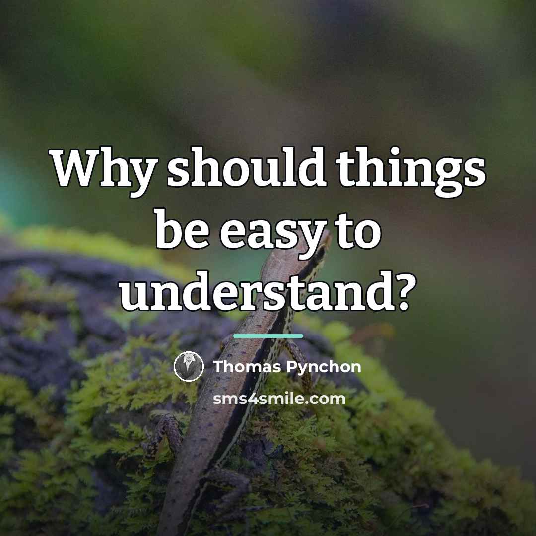 “Why should things be easy to understand?…” quote by Thomas Pynchon