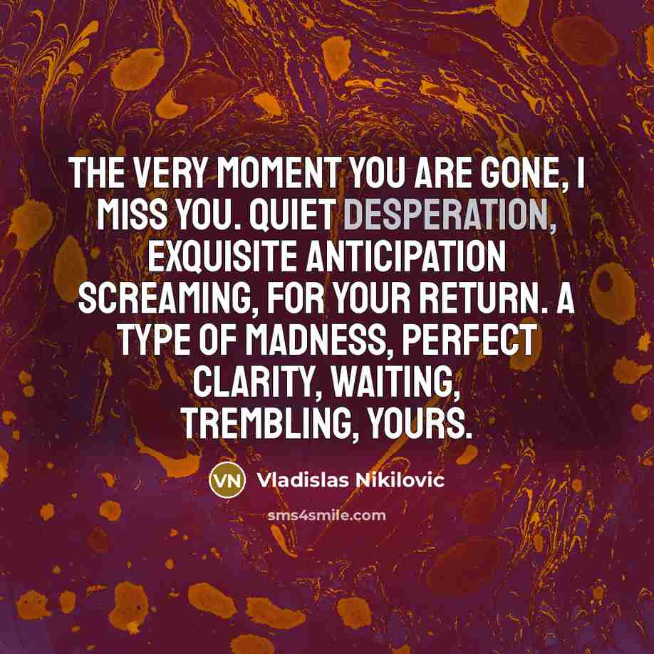 “The very moment you are gone, I miss you. Quiet…” quote by Vladislas Nikilovic