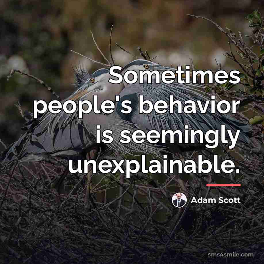 “Sometimes people's behavior is seemingly unexplainable.…” quote by Adam Scott