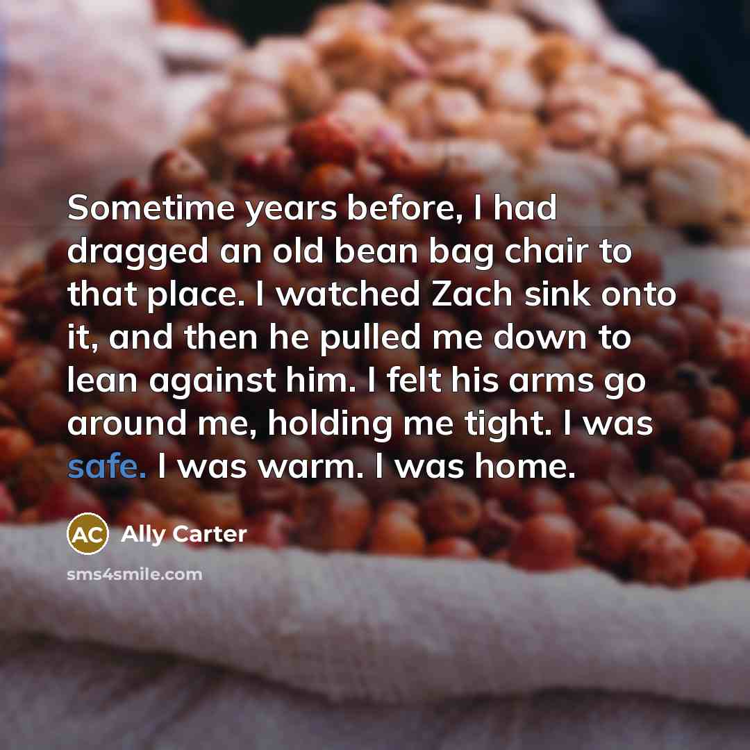 “Sometime years before, I had dragged an old bean bag…” quote by Ally Carter
