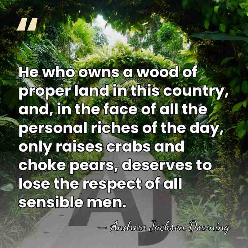 He who owns a wood of proper land in this country, and,&hellip; - Andrew Jackson Downing