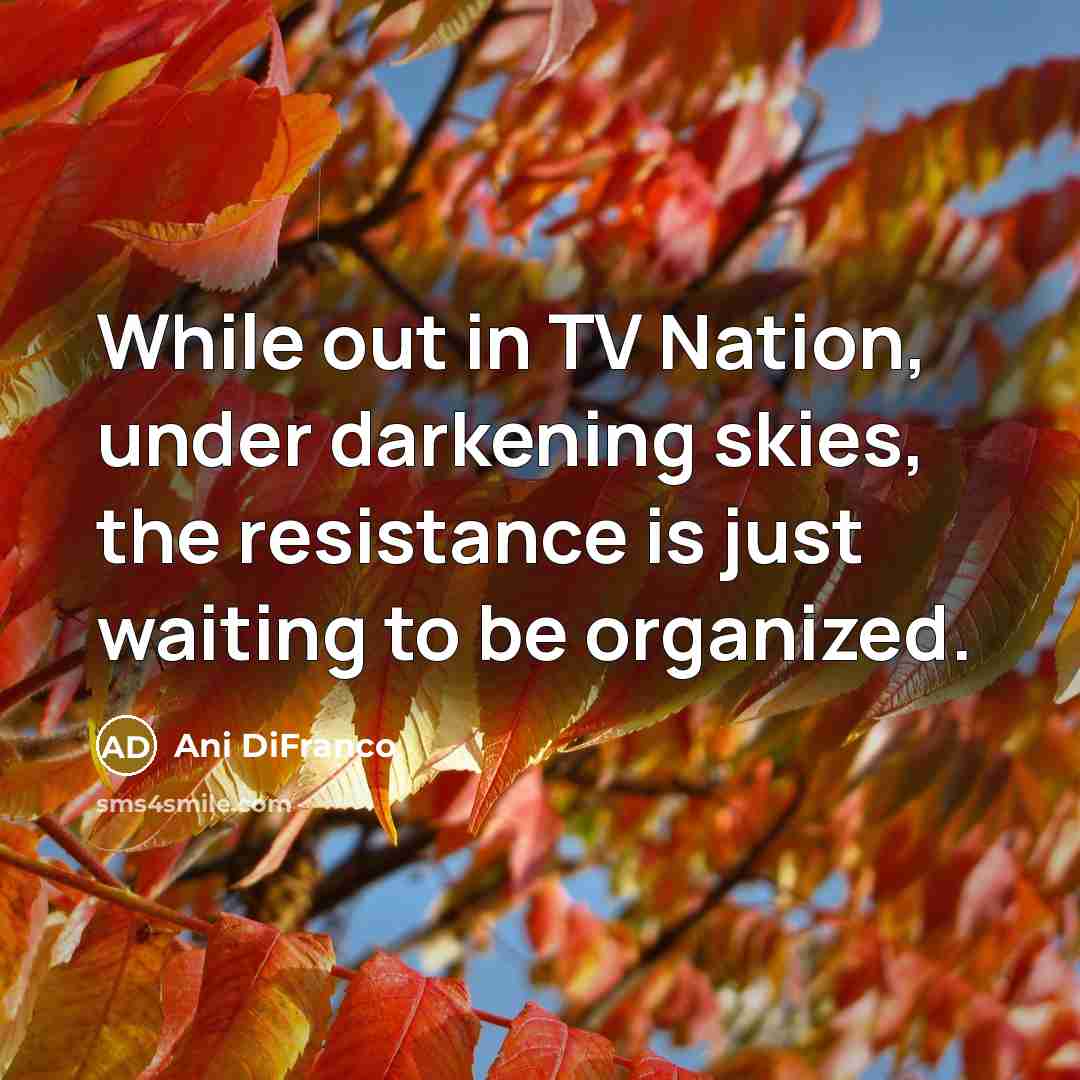 “While out in TV Nation, under darkening skies, the resistance…” quote by Ani DiFranco