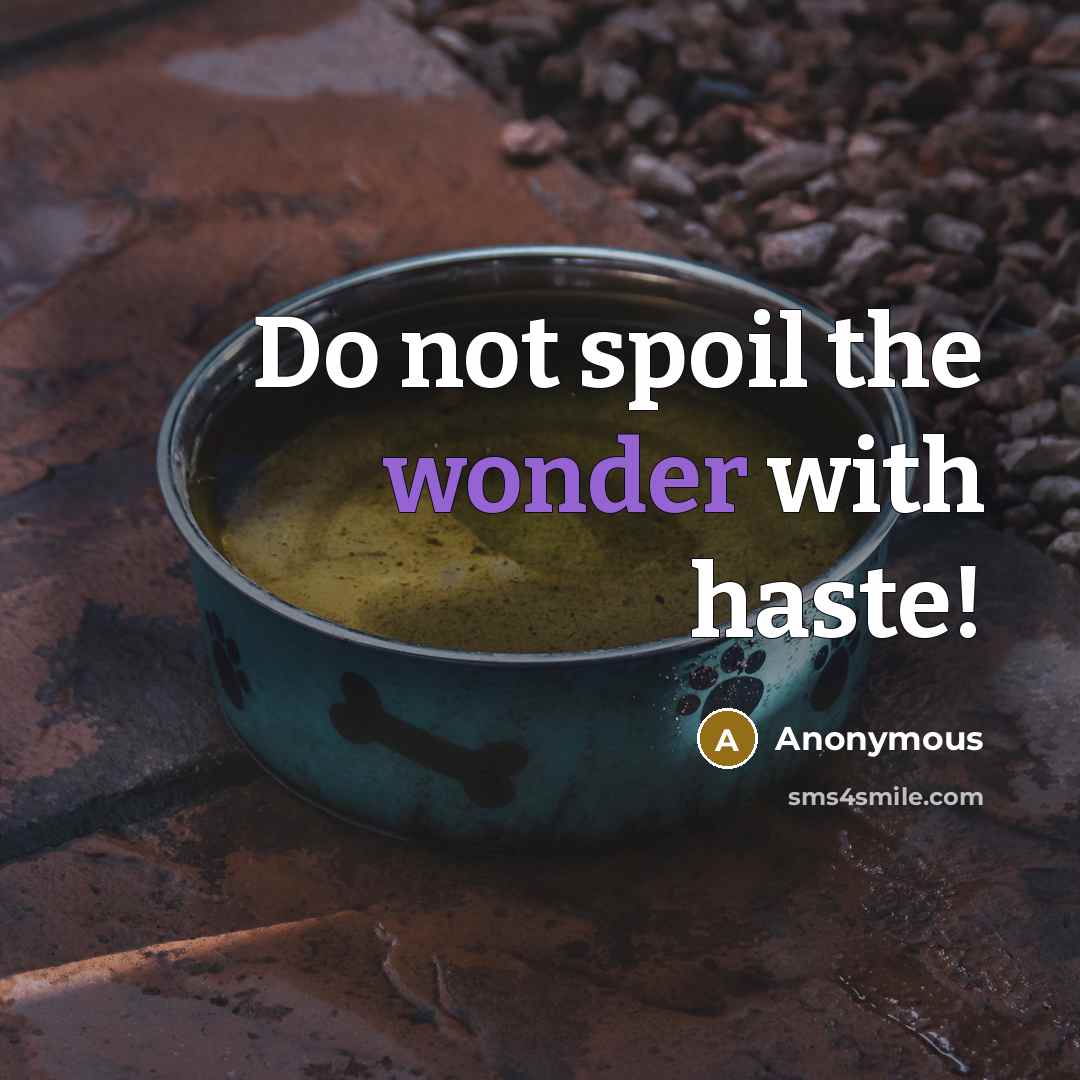 “Do not spoil the wonder with haste!…” quote by Anonymous