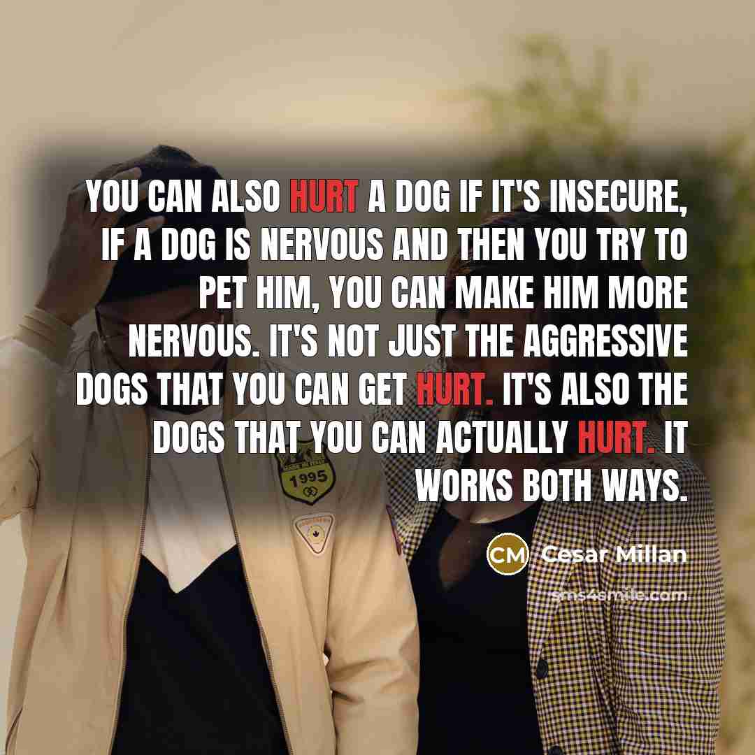 “You can also hurt a dog if it's insecure, if…” quote by Cesar Millan