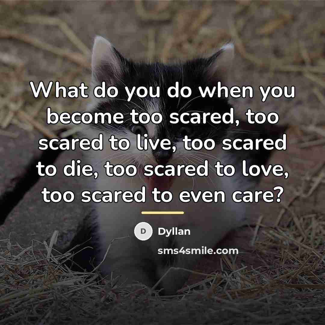 “What do you do when you become too scared, too…” quote by Dyllan