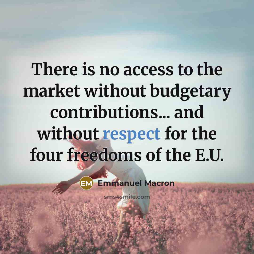 “There is no access to the market without budgetary contributions...…” quote by Emmanuel Macron