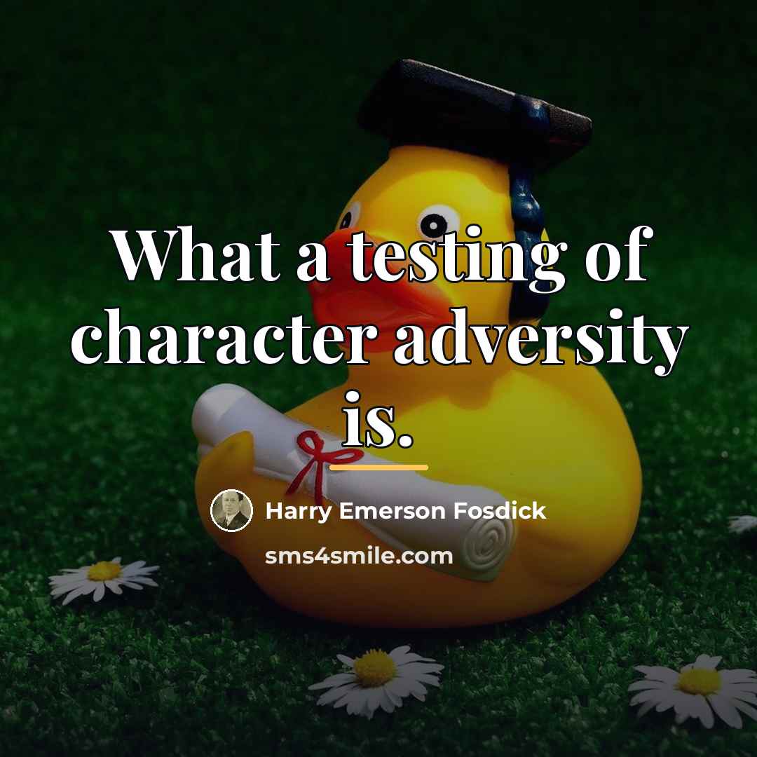 “What a testing of character adversity is.…” quote by Harry Emerson Fosdick