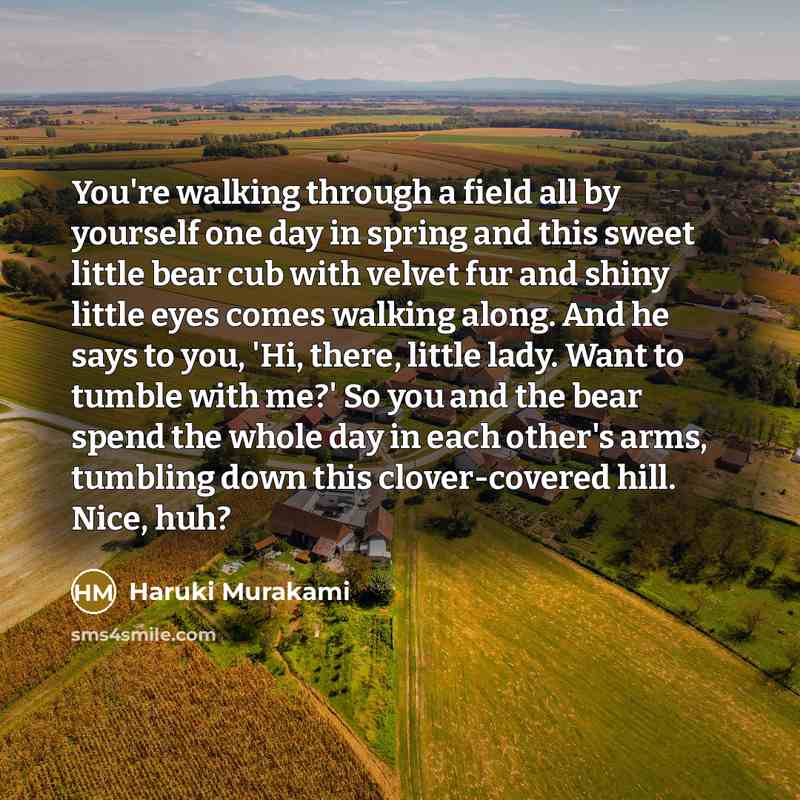 “You're walking through a field all by yourself one day…” quote by Haruki Murakami