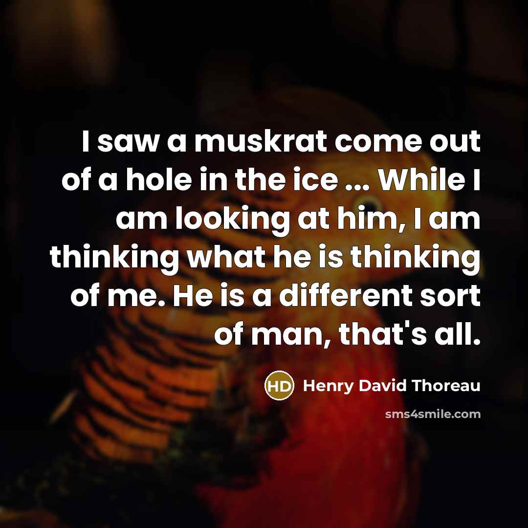 “I saw a muskrat come out of a hole in…” quote by Henry David Thoreau