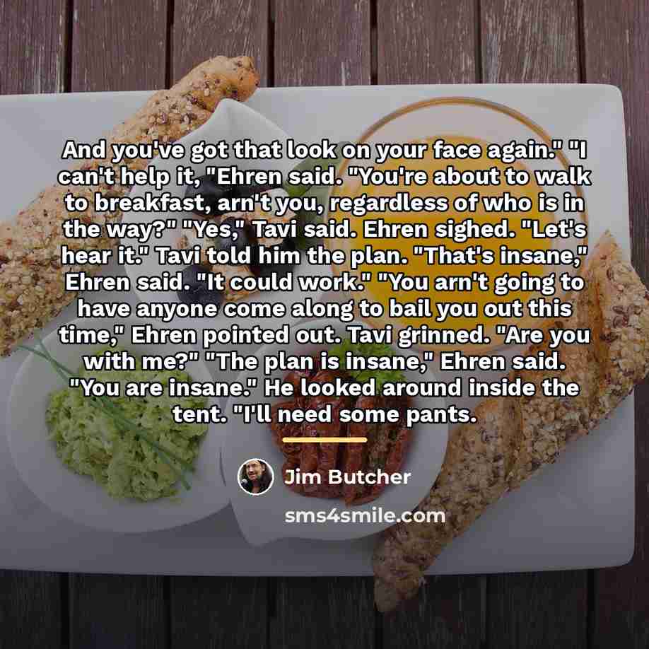 “And you've got that look on your face again." "I…” quote by Jim Butcher