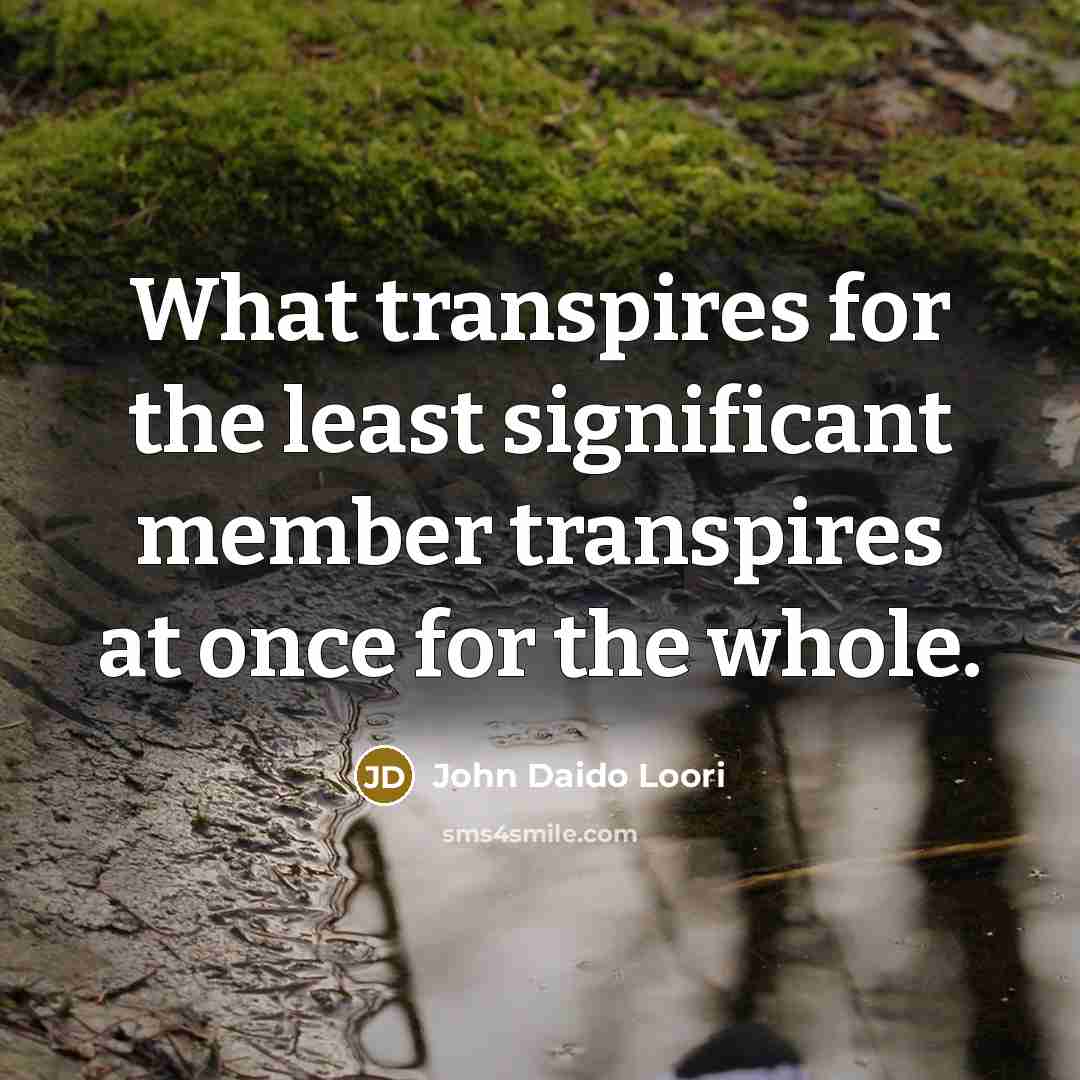 “What transpires for the least significant member transpires at once…” quote by John Daido Loori