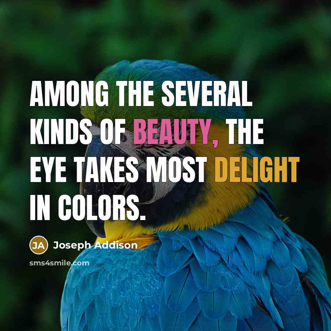 “Among the several kinds of beauty, the eye takes most…” quote by Joseph Addison