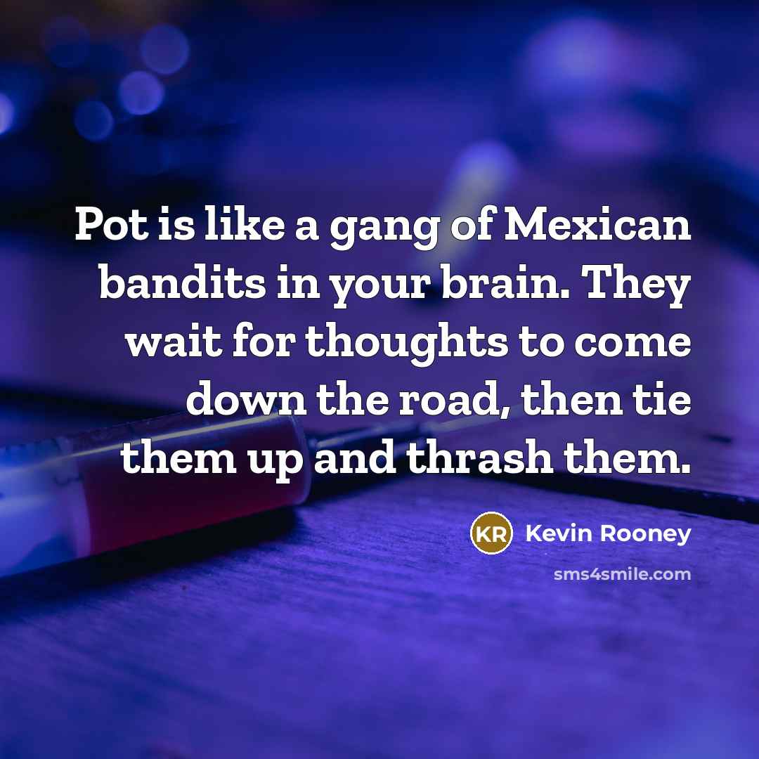 “Pot is like a gang of Mexican bandits in your…” quote by Kevin Rooney