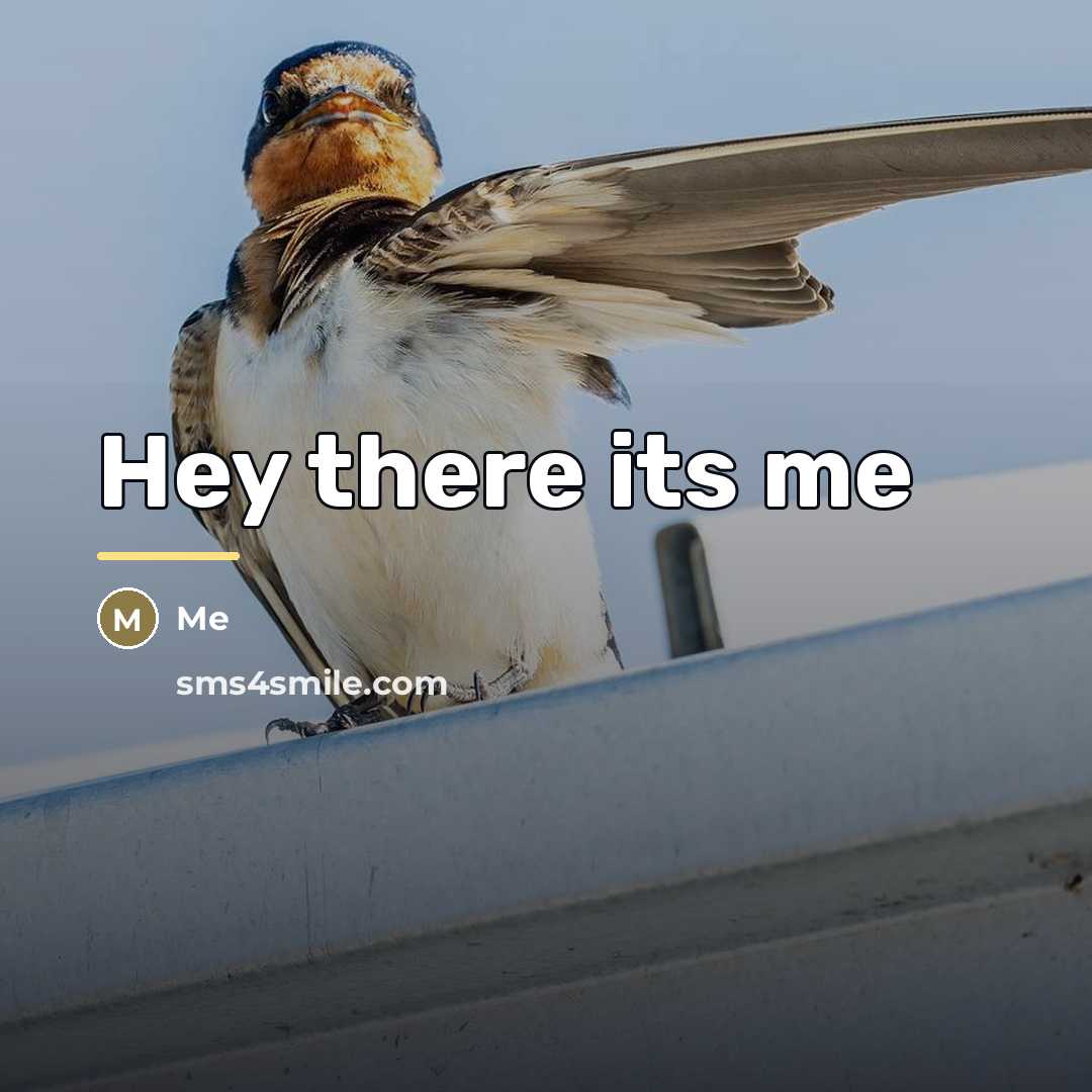 “Hey there its me…” quote by Me