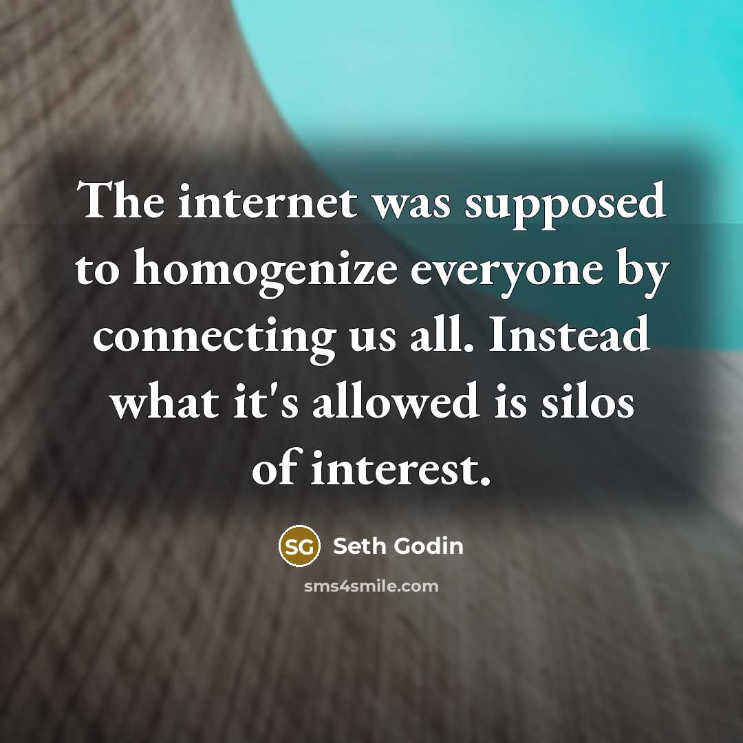 “The internet was supposed to homogenize everyone by connecting us…” quote by Seth Godin