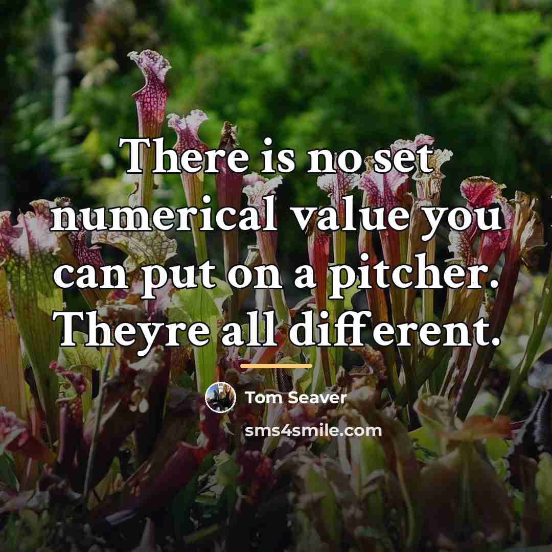 “There is no set numerical value you can put on…” quote by Tom Seaver