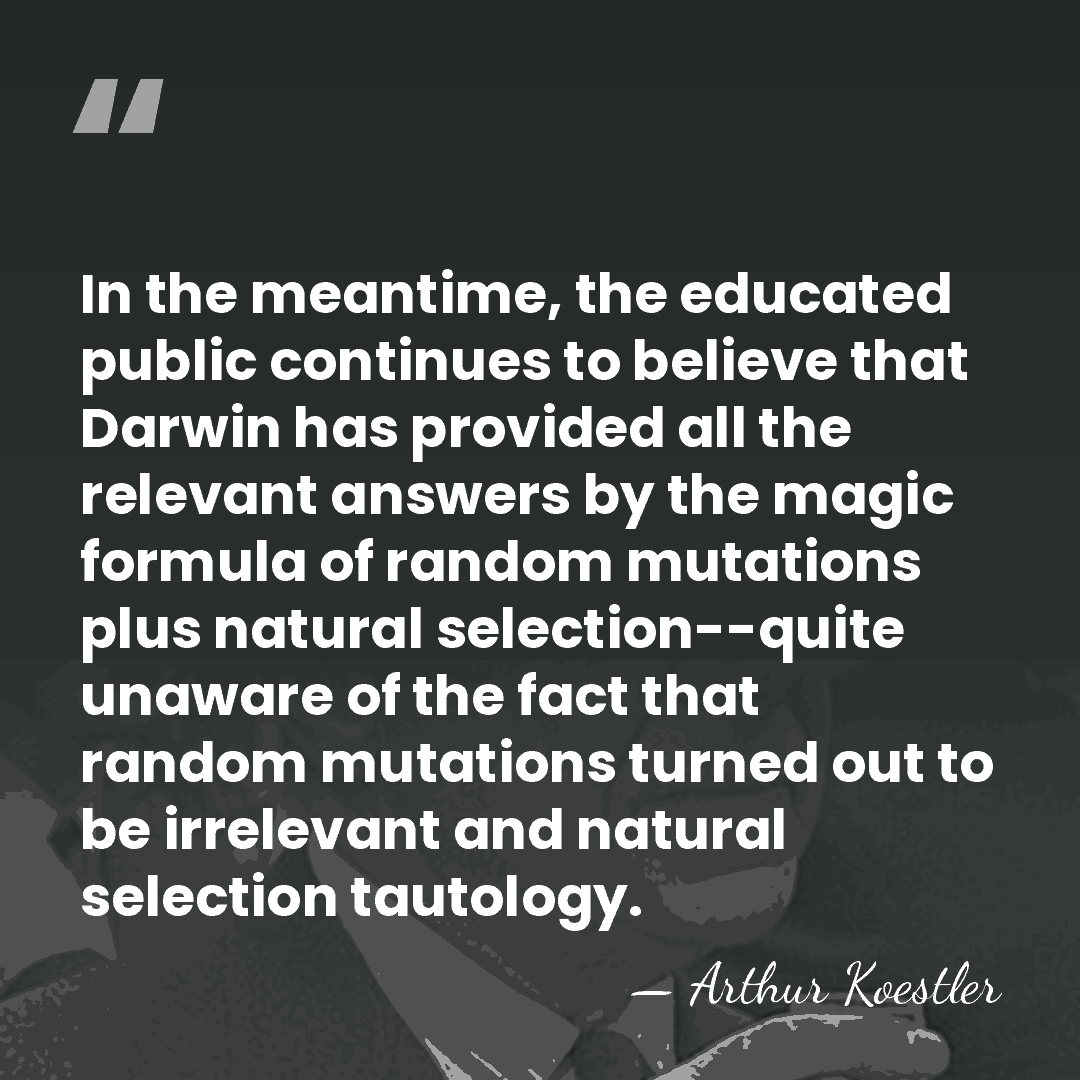 In the meantime, the educated public continues to believe that Darwin has&hellip; - Arthur Koestler