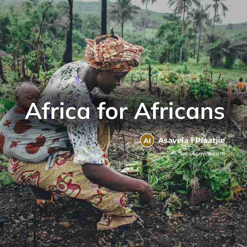 “Africa for Africans” quote by Asavela I Plaatjie
