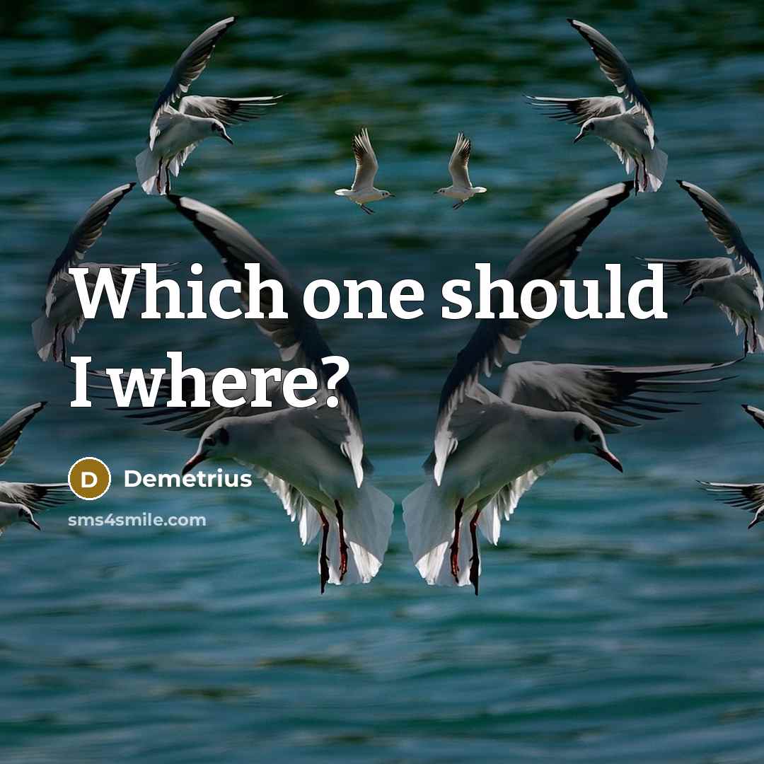“Which one should I where?…” quote by Demetrius
