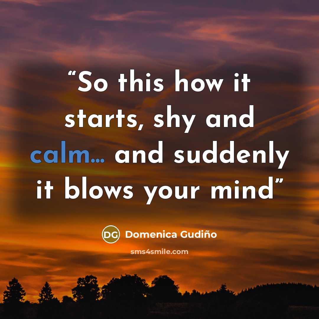 “So this how it starts, shy and calm... and suddenly it blows your mind” quote by Domenica Gudiño