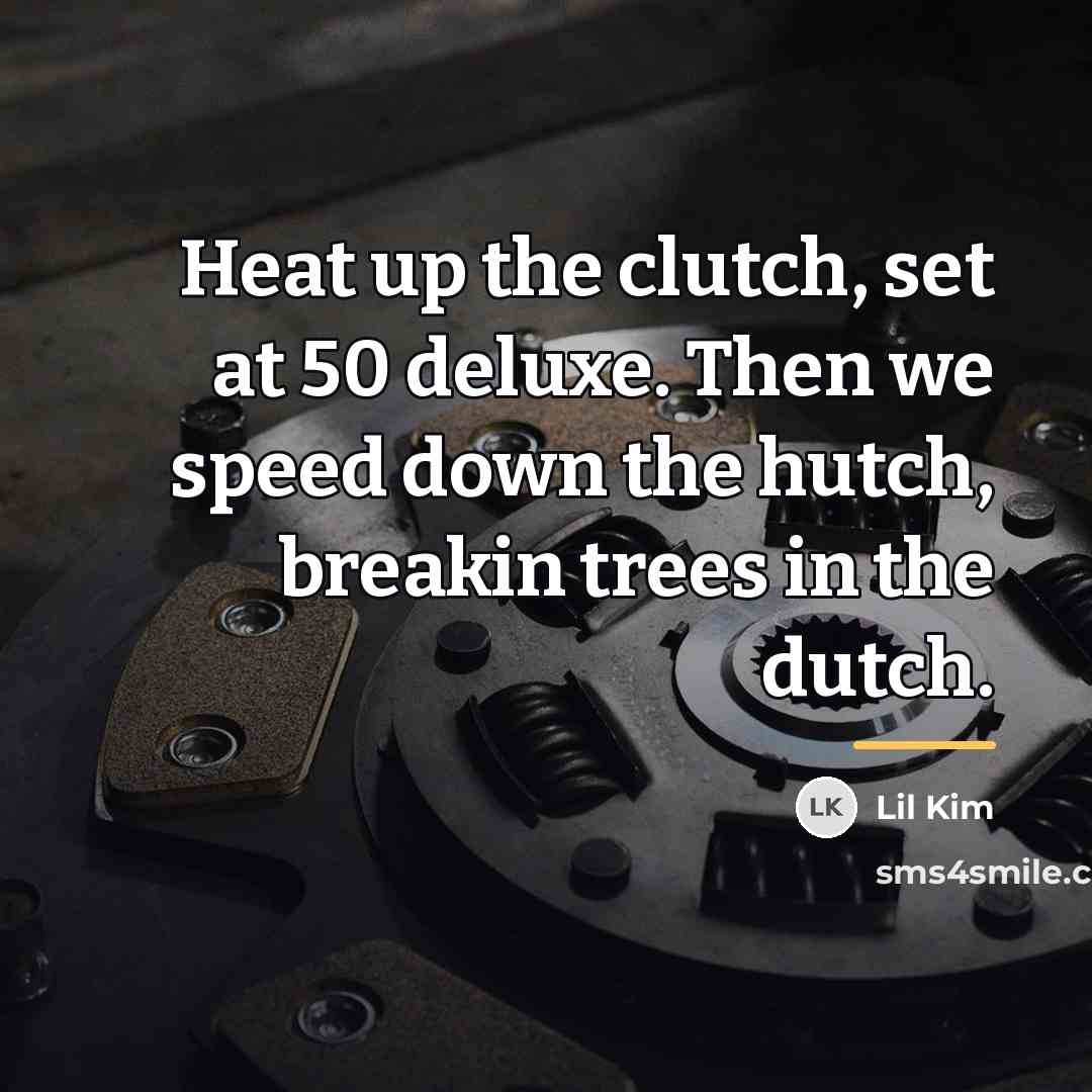 “Heat up the clutch, set at 50 deluxe. Then we…” quote by Lil Kim