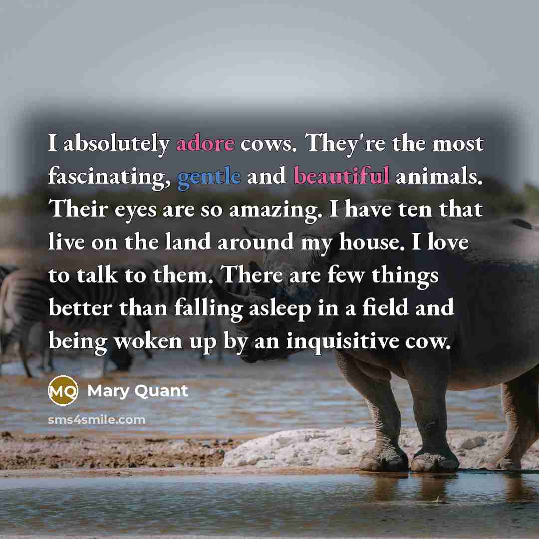 “I absolutely adore cows. They're the most fascinating, gentle and…” quote by Mary Quant