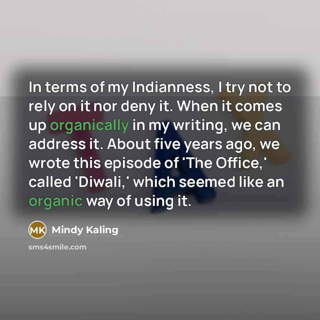 “In terms of my Indianness, I try not to rely…” quote by Mindy Kaling