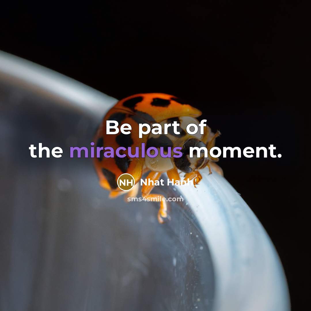 “Be part of the miraculous moment.…” quote by Nhat Hanh