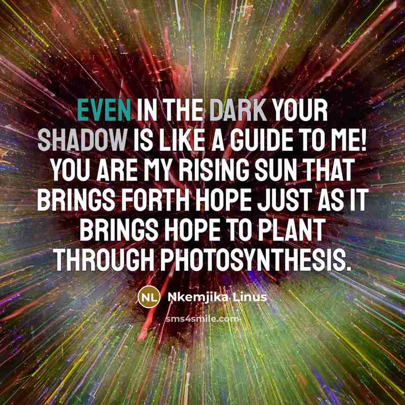 “Even in the dark your shadow is like a guide…” quote by Nkemjika Linus